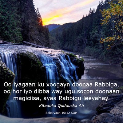 Picture 03 - Sekaryaah 10:12 SOM - Oo iyagaan ku xoogayn doonaa Rabbiga, oo hor iyo - Bible Verse Picture