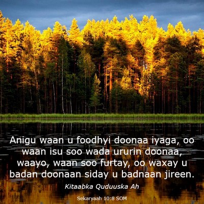 Picture 03 - Sekaryaah 10:8 SOM - Anigu waan u foodhyi doonaa iyaga, oo waan isu - Bible Verse Picture