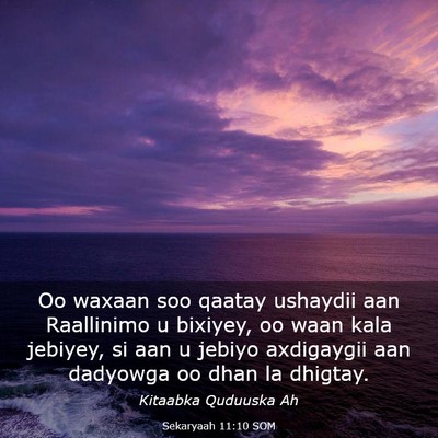 Picture 03 - Sekaryaah 11:10 SOM - Oo waxaan soo qaatay ushaydii aan Raallinimo u - Bible Verse Picture