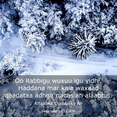 Picture 03 - Sekaryaah 11:15 SOM - Oo Rabbigu wuxuu igu yidhi, Haddana mar kale - Bible Verse Picture