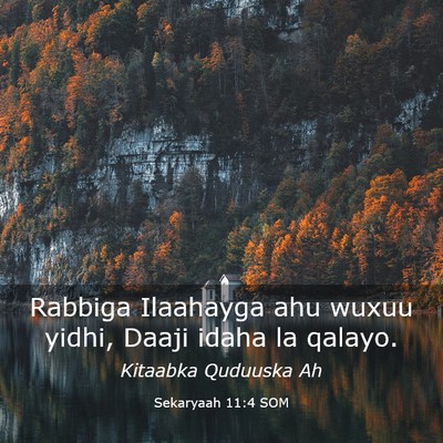 Picture 03 - Sekaryaah 11:4 SOM - Rabbiga Ilaahayga ahu wuxuu yidhi, Daaji idaha la - Bible Verse Picture