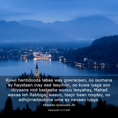 Picture 03 - Sekaryaah 11:5 SOM - Kuwii hantidooda lahaa way gowracaan, oo isumana - Bible Verse Picture