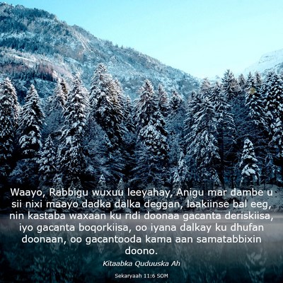 Picture 03 - Sekaryaah 11:6 SOM - Waayo, Rabbigu wuxuu leeyahay, Anigu mar dambe u - Bible Verse Picture