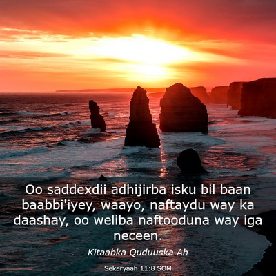 Picture 03 - Sekaryaah 11:8 SOM - Oo saddexdii adhijirba isku bil baan baabbi'iyey, - Bible Verse Picture