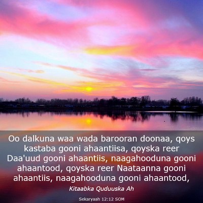 Picture 03 - Sekaryaah 12:12 SOM - Oo dalkuna waa wada barooran doonaa, qoys kastaba - Bible Verse Picture