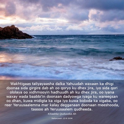 Picture 03 - Sekaryaah 12:6 SOM - Wakhtigaas taliyayaasha dalka Yahuudah waxaan ka - Bible Verse Picture