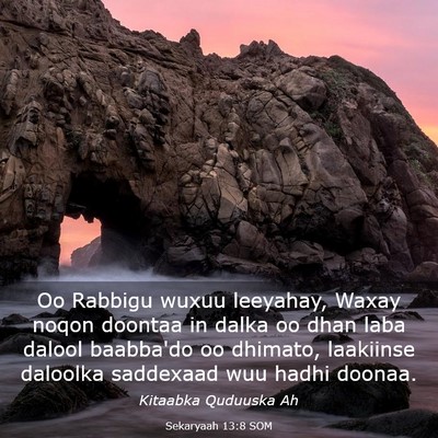 Picture 03 - Sekaryaah 13:8 SOM - Oo Rabbigu wuxuu leeyahay, Waxay noqon doontaa in - Bible Verse Picture