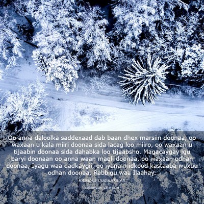 Picture 03 - Sekaryaah 13:9 SOM - Oo anna daloolka saddexaad dab baan dhex marsiin - Bible Verse Picture