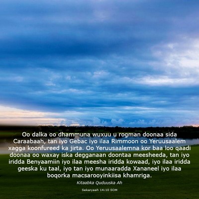 Picture 03 - Sekaryaah 14:10 SOM - Oo dalka oo dhammuna wuxuu u rogman doonaa sida - Bible Verse Picture