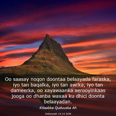 Picture 03 - Sekaryaah 14:15 SOM - Oo saasay noqon doontaa belaayada faraska, iyo - Bible Verse Picture
