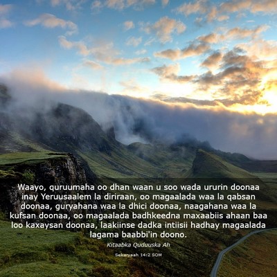 Picture 03 - Sekaryaah 14:2 SOM - Waayo, quruumaha oo dhan waan u soo wada ururin - Bible Verse Picture