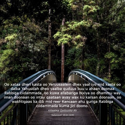 Picture 03 - Sekaryaah 14:21 SOM - Oo xataa dheri kasta oo Yeruusaalem dhex yaal iyo - Bible Verse Picture