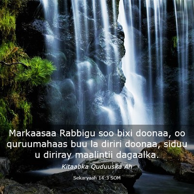 Picture 03 - Sekaryaah 14:3 SOM - Markaasaa Rabbigu soo bixi doonaa, oo quruumahaas - Bible Verse Picture