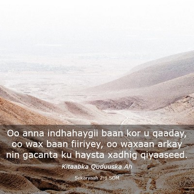 Picture 03 - Sekaryaah 2:1 SOM - Oo anna indhahaygii baan kor u qaaday, oo wax - Bible Verse Picture