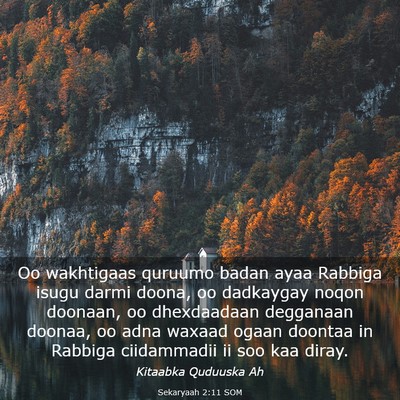 Picture 03 - Sekaryaah 2:11 SOM - Oo wakhtigaas quruumo badan ayaa Rabbiga isugu - Bible Verse Picture