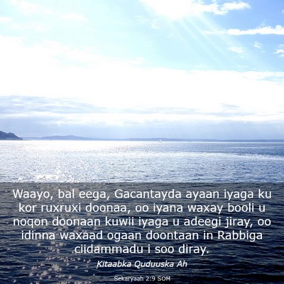 Picture 03 - Sekaryaah 2:9 SOM - Waayo, bal eega, Gacantayda ayaan iyaga ku kor - Bible Verse Picture