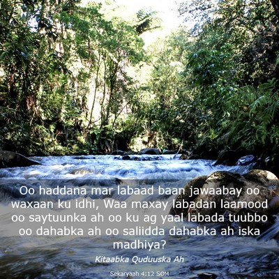 Picture 03 - Sekaryaah 4:12 SOM - Oo haddana mar labaad baan jawaabay oo waxaan ku - Bible Verse Picture