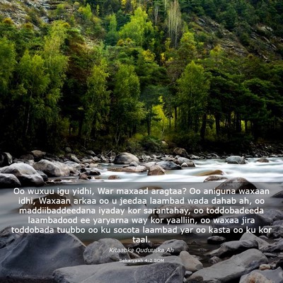 Picture 03 - Sekaryaah 4:2 SOM - Oo wuxuu igu yidhi, War maxaad aragtaa? Oo - Bible Verse Picture