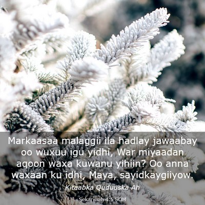 Picture 03 - Sekaryaah 4:5 SOM - Markaasaa malaggii ila hadlay jawaabay oo wuxuu - Bible Verse Picture