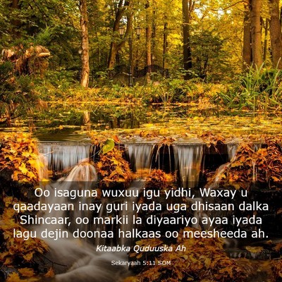Picture 03 - Sekaryaah 5:11 SOM - Oo isaguna wuxuu igu yidhi, Waxay u qaadayaan - Bible Verse Picture