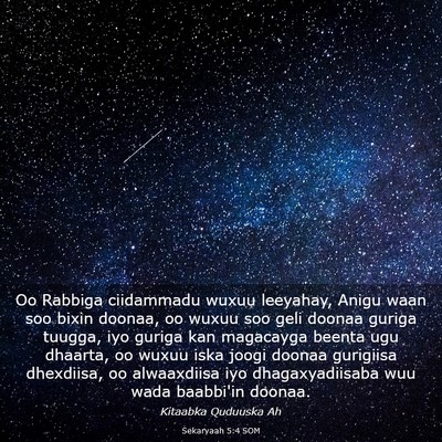 Picture 03 - Sekaryaah 5:4 SOM - Oo Rabbiga ciidammadu wuxuu leeyahay, Anigu waan - Bible Verse Picture