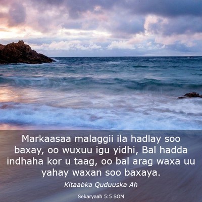 Picture 03 - Sekaryaah 5:5 SOM - Markaasaa malaggii ila hadlay soo baxay, oo wuxuu - Bible Verse Picture