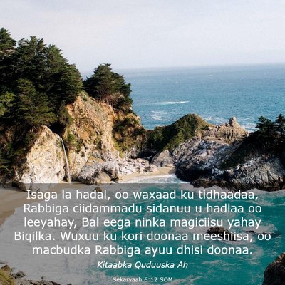 Picture 03 - Sekaryaah 6:12 SOM - Isaga la hadal, oo waxaad ku tidhaadaa, Rabbiga - Bible Verse Picture