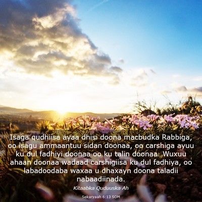 Picture 03 - Sekaryaah 6:13 SOM - Isaga qudhiisa ayaa dhisi doona macbudka Rabbiga, - Bible Verse Picture