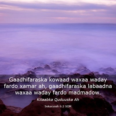 Picture 03 - Sekaryaah 6:2 SOM - Gaadhifaraska kowaad waxaa waday fardo xamar ah, - Bible Verse Picture