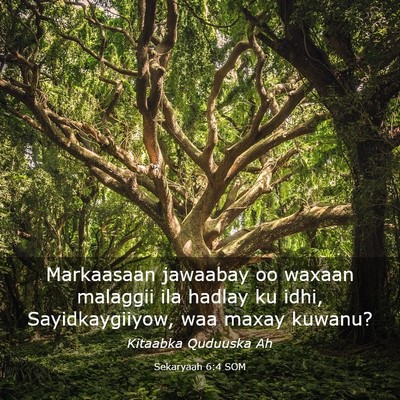Picture 03 - Sekaryaah 6:4 SOM - Markaasaan jawaabay oo waxaan malaggii ila hadlay - Bible Verse Picture
