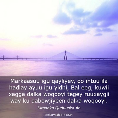 Picture 03 - Sekaryaah 6:8 SOM - Markaasuu igu qayliyey, oo intuu ila hadlay ayuu - Bible Verse Picture