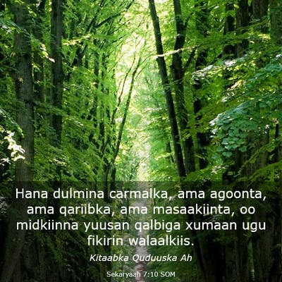 Picture 03 - Sekaryaah 7:10 SOM - Hana dulmina carmalka, ama agoonta, ama qariibka, - Bible Verse Picture