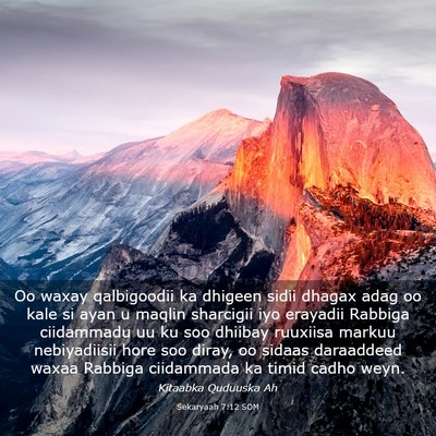 Picture 03 - Sekaryaah 7:12 SOM - Oo waxay qalbigoodii ka dhigeen sidii dhagax adag - Bible Verse Picture