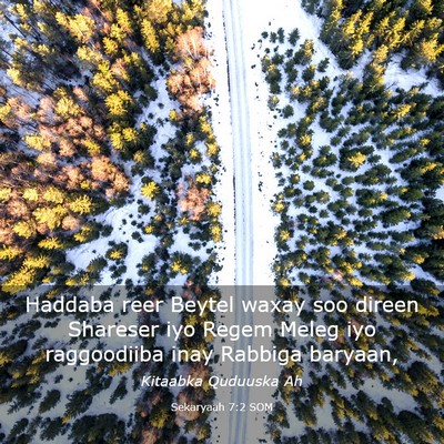 Picture 03 - Sekaryaah 7:2 SOM - Haddaba reer Beytel waxay soo direen Shareser iyo - Bible Verse Picture