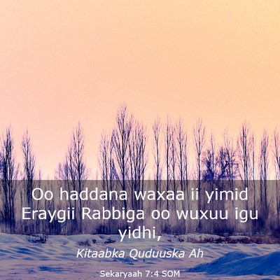 Picture 03 - Sekaryaah 7:4 SOM - Oo haddana waxaa ii yimid Eraygii Rabbiga oo - Bible Verse Picture