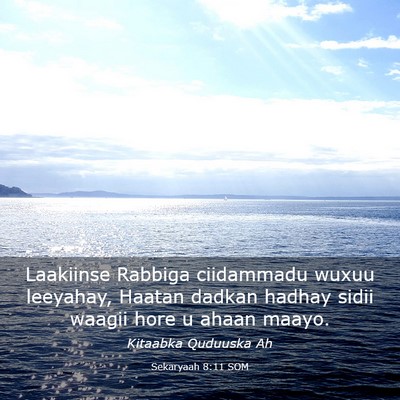 Picture 03 - Sekaryaah 8:11 SOM - Laakiinse Rabbiga ciidammadu wuxuu leeyahay, - Bible Verse Picture