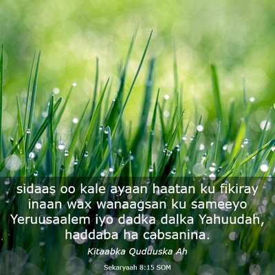 Picture 03 - Sekaryaah 8:15 SOM - sidaas oo kale ayaan haatan ku fikiray inaan wax - Bible Verse Picture