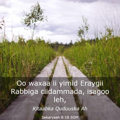 Picture 03 - Sekaryaah 8:18 SOM - Oo waxaa ii yimid Eraygii Rabbiga ciidammada, - Bible Verse Picture