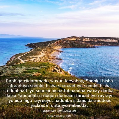 Picture 03 - Sekaryaah 8:19 SOM - Rabbiga ciidammadu wuxuu leeyahay, Soonkii bisha - Bible Verse Picture
