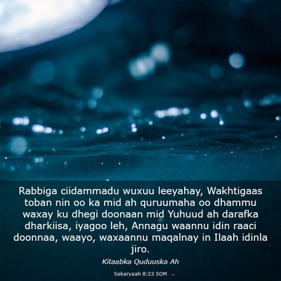 Picture 03 - Sekaryaah 8:23 SOM - Rabbiga ciidammadu wuxuu leeyahay, Wakhtigaas - Bible Verse Picture