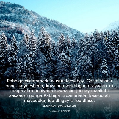 Picture 03 - Sekaryaah 8:9 SOM - Rabbiga ciidammadu wuxuu leeyahay, Gacmihiinnu - Bible Verse Picture