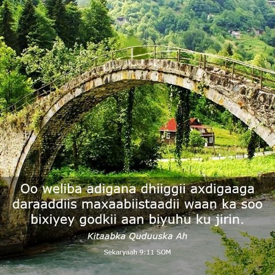 Picture 03 - Sekaryaah 9:11 SOM - Oo weliba adigana dhiiggii axdigaaga daraaddiis - Bible Verse Picture