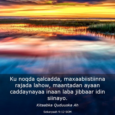 Picture 03 - Sekaryaah 9:12 SOM - Ku noqda qalcadda, maxaabiistiinna rajada lahow, - Bible Verse Picture