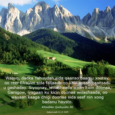 Picture 03 - Sekaryaah 9:13 SOM - Waayo, dadka Yahuudah sida qaanso baan u xootay, - Bible Verse Picture