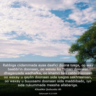 Picture 03 - Sekaryaah 9:15 SOM - Rabbiga ciidammada ayaa daafici doona iyaga, oo - Bible Verse Picture