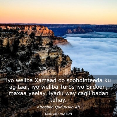 Picture 03 - Sekaryaah 9:2 SOM - iyo weliba Xamaad oo soohdinteeda ku ag taal, iyo - Bible Verse Picture