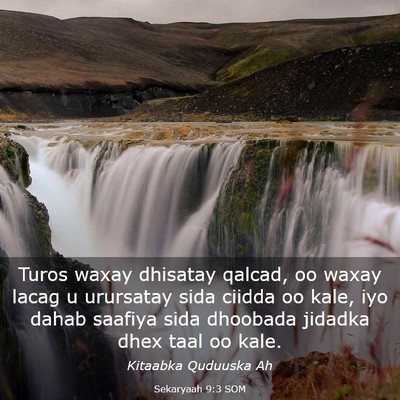 Picture 03 - Sekaryaah 9:3 SOM - Turos waxay dhisatay qalcad, oo waxay lacag u - Bible Verse Picture
