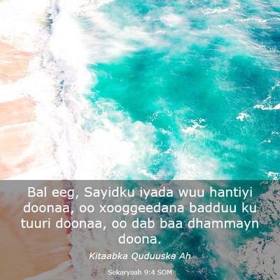 Picture 03 - Sekaryaah 9:4 SOM - Bal eeg, Sayidku iyada wuu hantiyi doonaa, oo - Bible Verse Picture