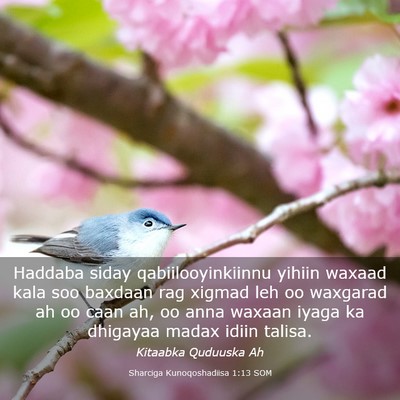 Picture 03 - Sharciga Kunoqoshadiisa 1:13 SOM - Haddaba siday qabiilooyinkiinnu yihiin waxaad - Bible Verse Picture