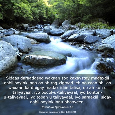 Picture 03 - Sharciga Kunoqoshadiisa 1:15 SOM - Sidaas daraaddeed waxaan soo kaxaystay madaxdii - Bible Verse Picture